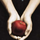 Illustration for article titled Stephenie Meyer To Release New emTwilight/em Book Online